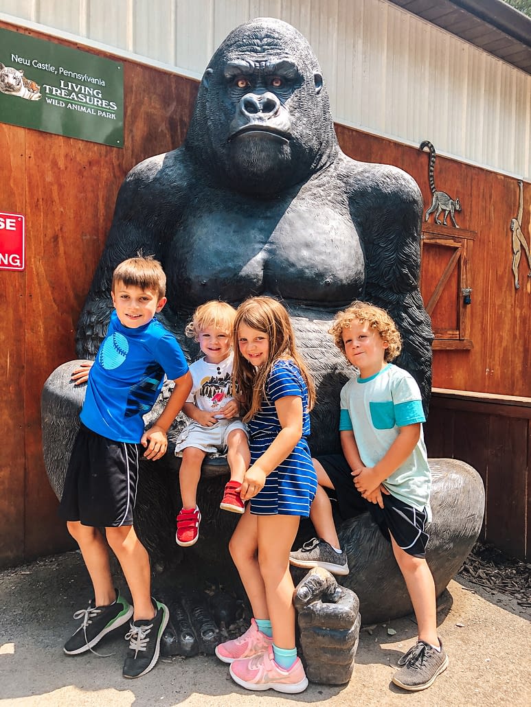 Living Treasures Wild Animal Park All Kids Can Travel